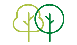 Sycamore Group Solutions